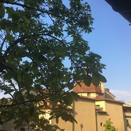 شقة Casa Francesca لوكا المظهر الخارجي الصورة
