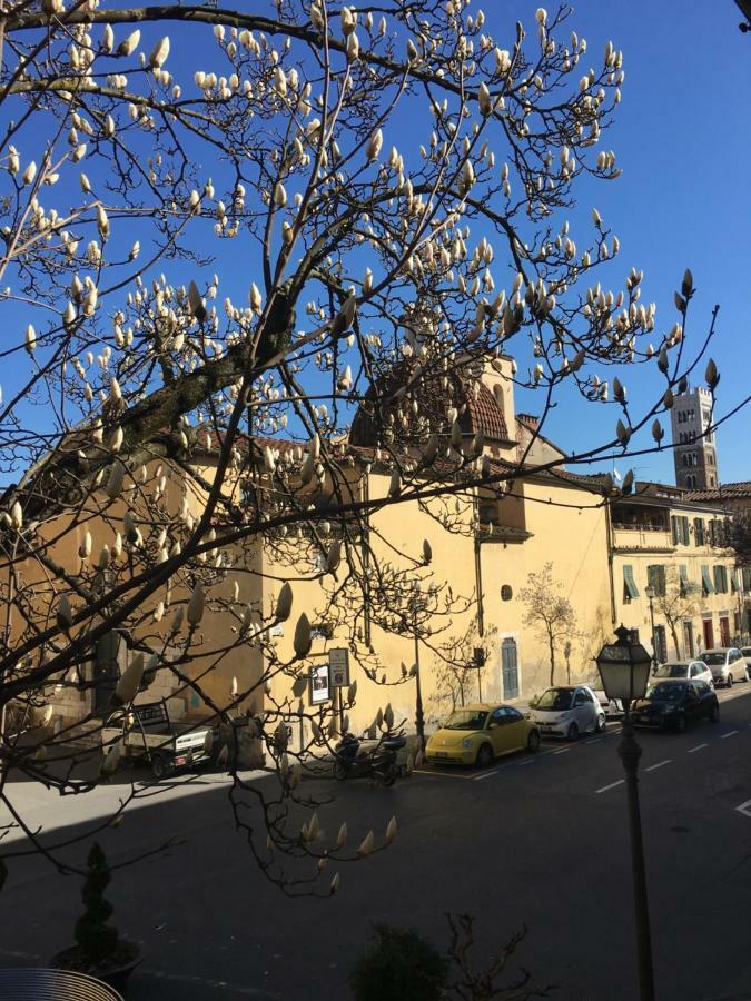شقة Casa Francesca لوكا المظهر الخارجي الصورة